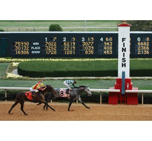 Saddle Up for Excitement: Horse Racing Betting in Singapore